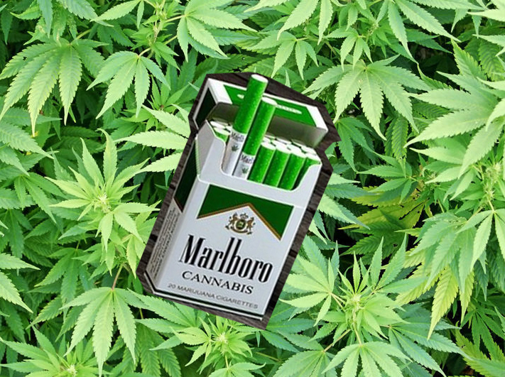 marlboro weed cigarettes real